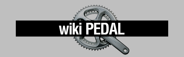 Tvアニメ 弱虫ペダル Glory Line 公式サイト